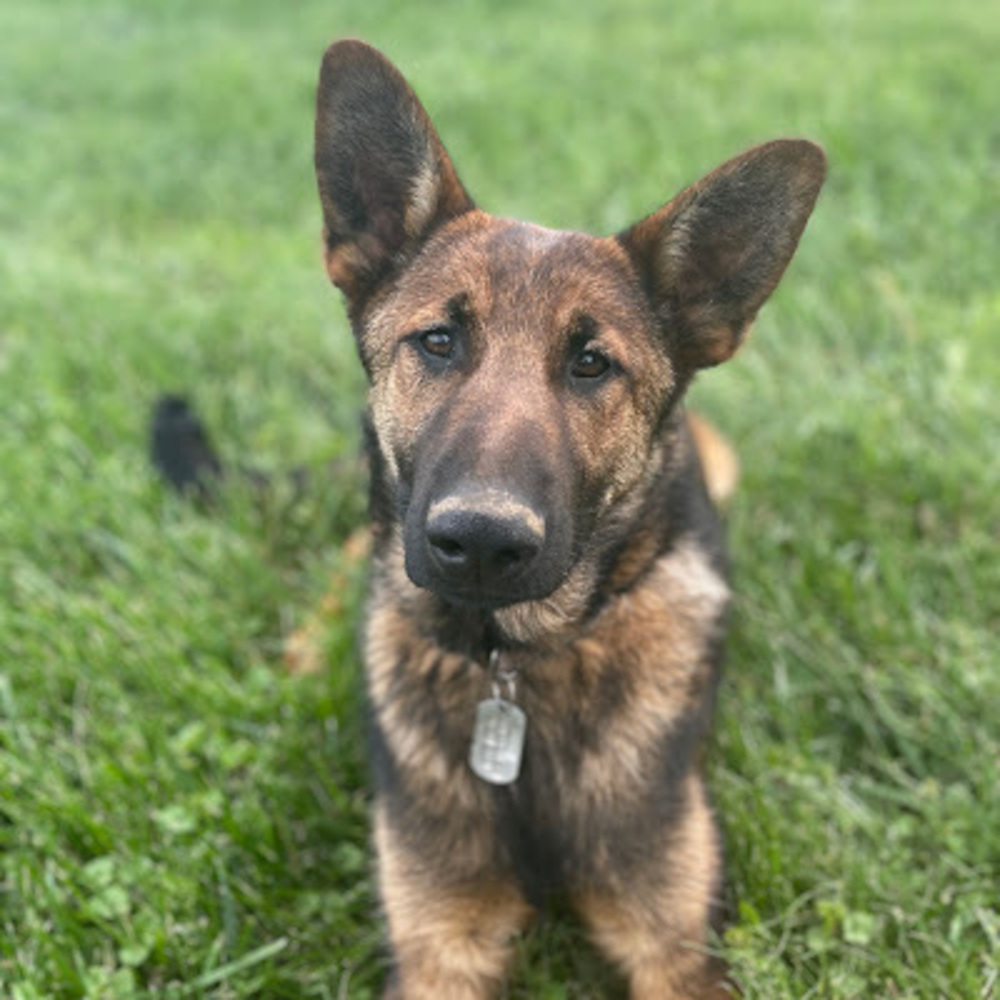 Meet your Posher, Ruthann - Picture 1 of 1